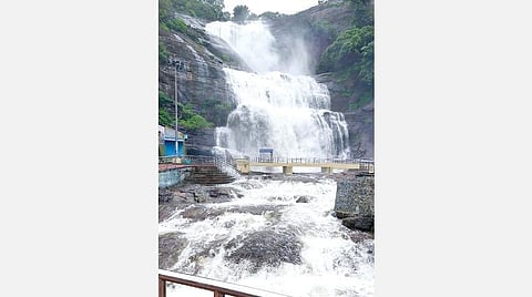 குற்றாலம் பிரதான அருவியில் நேற்று ஏற்பட்ட வெள்ளப்பெருக்கு.