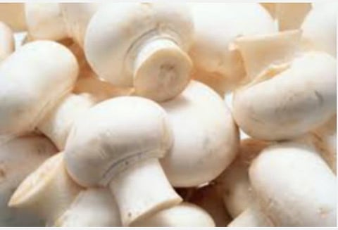 பள்ளி மதிய உணவில் காளான், தேன்: மத்தியக் கல்வி அமைச்சகம் மாநிலங்களுக்குப் பரிந்துரை