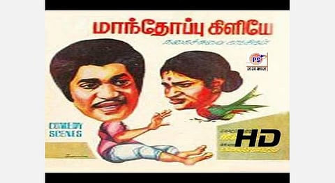 ’விசிறி காமெடி, பால் காமெடி, விறாட்டி காமெடி, ஊறுகாய் காமெடி...’ ‘கஞ்சப் பிரபு’ சுருளிராஜன் - காந்திமதி ஜோடியின் சூப்பர் காமெடி; - ‘மாந்தோப்புக் கிளியே’ வெளியாகி 41 ஆண்டுகளானாலும் மறக்கவே முடியாத காமெடி! 