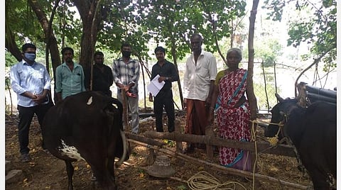 ஆட்டுக்கு ரூ.5 ஆயிரம்; மாட்டுக்கு ரூ.30 ஆயிரம் வரை காப்பீடு: நாகையில் மத்திய அரசின் கால்நடை காப்பீட்டுத் திட்ட முகாம்
