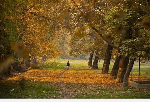 ஜம்மு காஷ்மீரில் பிற மாநிலத்தவர்களும், முதலீட்டாளர்களும் இப்போது நிலம் வாங்கலாம்