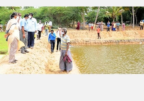 விவசாயிகளுக்கு உறுதியான வருவாய் கிடைப்பதற்கான மேம்பாட்டுத் திட்டம்: கிஃப்ட் திலபியா மீன் வளர்ப்புக்கு 40 சதவீதம் மானியம்