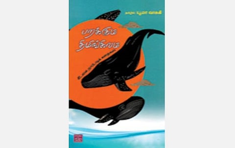 பறக்கும் திமிங்கிலம்