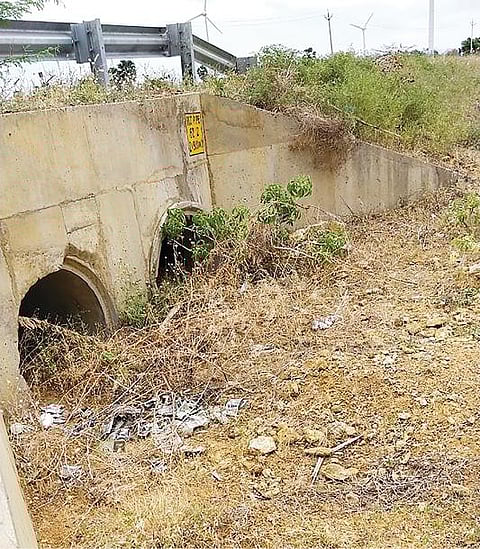 அழகியபாண்டியபுரம் ஊராட்சி செட்டிகுறிச்சி அருகேயுள்ள குளத்துக்கு செல்லும் நீரோடை தூர்ந்து கிடக்கிறது.