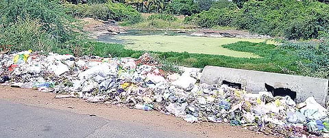 திருப்பூர் மாநகரின் பல்வேறு பகுதிகளில் முறையான இடம் இல்லாததால் வீதிகளில் தேங்கும் குப்பை: சுகாதார சீர்கேடு அபாயம்; நிரந்தர தீர்வு காண பொதுமக்கள் வலியுறுத்தல்