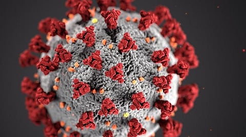 பிரதிநிதித்துவப் படம்