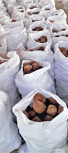 ஓமலூர் அடுத்த டேனிஷ்பேட்டை அருகே கரும்பாலையில் பறிமுதல் செய்யப்பட்ட வெல்லம்.