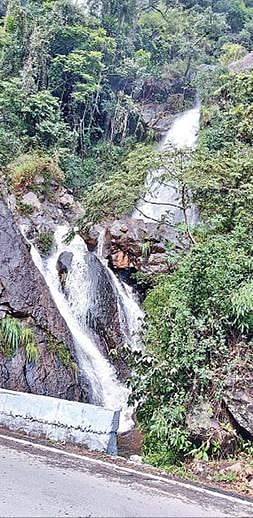 மலைப் பாதை அருவி பகுதிகளுக்கு செல்ல சுற்றுலாப் பயணிகளுக்கு தடை