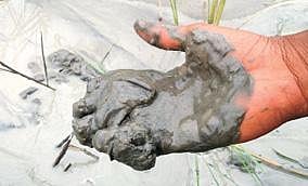 அருங்குன்றம் ஏரியில் கருங்கல் துகள்கள் படிந்து சிமென்ட் கலவைபோல் காட்சி அளிக்கிறது.