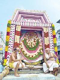 திருநெல்வேலி நெல்லையப்பர் திருக்கோயில் ஐப்பசி திருக்கல்யாண திருவிழாவை முன்னிட்டு டவுன் காட்சி மண்டபத்தில் தங்கச்சப்பரத்தில்  காந்திமதி அம்மனும், ரிஷப வாகனத்தில் சுவாமியும் எழுந்தருளி பக்தர்களுக்கு திருக்காட்சி அருளினர்.