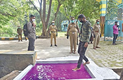 சேலம் குரும்பப்பட்டி உயிரியல் பூங்கா நேற்று திறக்கப்பட்டது. கரோனா வைரஸ் பரவல் தடுப்பு நடவடிக்கையாக பார்வையாளர்கள் அனைவரும் அங்குள்ள கிருமிநாசினி நிரப்பப்பட்ட சிறிய தொட்டியில் கால்களை நனைத்த பின்னர் பூங்காவுக்குள் அனுமதிக்கப்பட்டனர்.	                 படம்: எஸ். குரு பிரசாத்