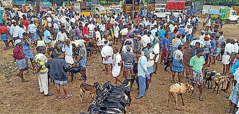 ஆடுகள் வரத்து குறைவாக இருந்ததால் செஞ்சி ஆட்டுச்சந்தை களையிழந்து காணப்பட்டது.