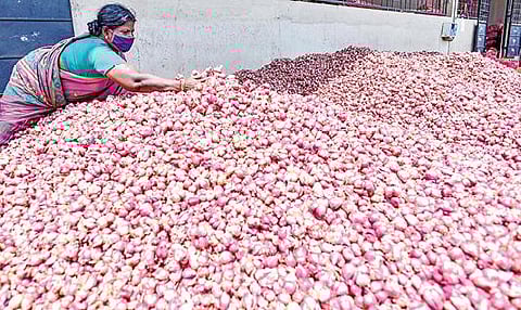 திண்டுக்கல் வெங்காய மார்க்கெட்டில் விற்பனைக்கு வந்த சின்ன வெங்காயம்.