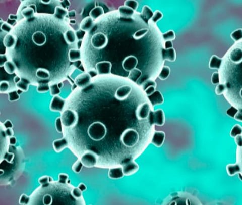 பிரதிநிதித்துவப் படம்