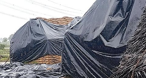 வில்வராயநல்லூரில் உள்ள அரசு கிடங்கில் நனைந்த நெல்மூட்டைகள்.