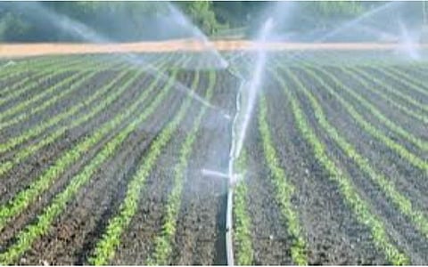 சொட்டுநீர்ப் பாசன நிதியிலிருந்து வட்டி மானிய கடன்: தமிழகத்துக்கு ரூ.1357.93 கோடி ஒப்புதல்