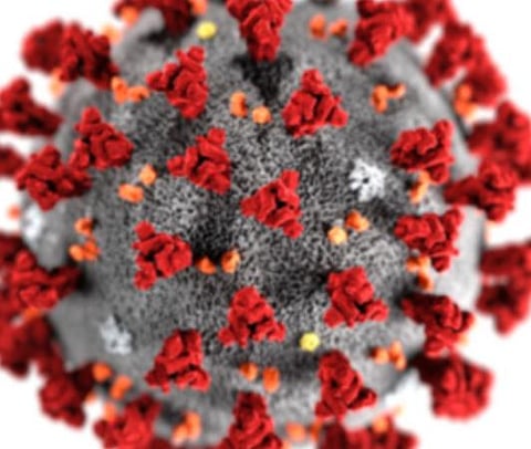 பிரதிநிதித்துவப் படம்