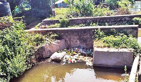 கிருஷ்ணகிரி அணையில் இருந்து செல்லும் இடதுபுறக்கால்வாயில் அவதானப்பட்டி பகுதியில் தண்ணீரில் அடைத்துள்ள குப்பைகள்.                   படம்: எஸ்.கே.ரமேஷ்