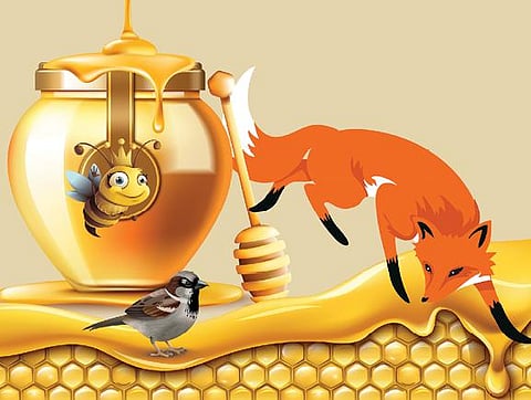 எட்டுத் திக்கும் சிறகடிக்கும் கதைகள் - கோவா: நரிக்கும் நரிக்கும் கல்யாணமாம்!