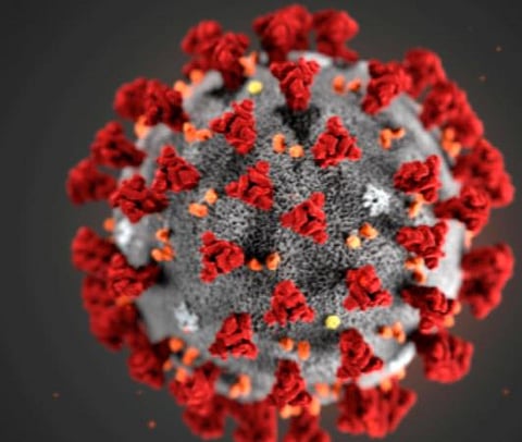 பிரதிநிதித்துவப் படம்