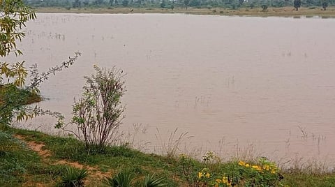 சிவகங்கை அருகே கவுரிப்பட்டியில் நிரம்பி காணப்படும் கவுரி கண்மாய்.