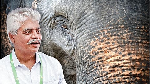 ‘யானைக் காவலன்’ அஜய் தேசாய்