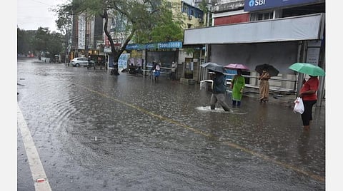 படம்: எல்.சீனிவாசன்