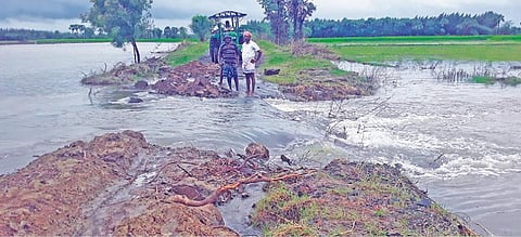 மரக்காணம் அருகே அசப்பூர்- ராயநல்லூர் கிராமங்களுக்கு இடையே செல்லும் தார் சாலை வெள்ளத்தில் அடித்துச் செல்லப்பட்டுள்ளது.10-க்கும் மேற்பட்ட கிராமங்களுக்கு போக்குவரத்து துண்டிக்கப்பட்டுள்ளது.