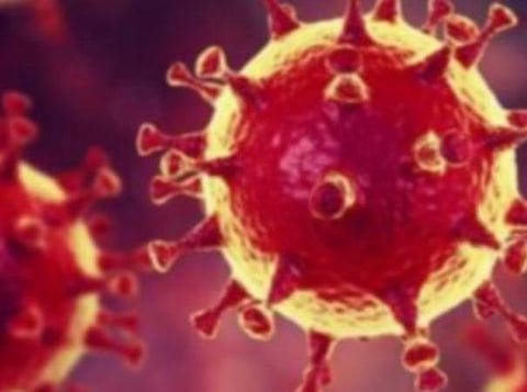 பிரதிநிதித்துவப் படம்