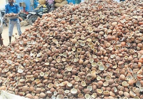 தமிழகம் உள்ளிட்ட மாநிலங்களில் 1.23 லட்சம் மெட்ரிக் டன் கொப்பரை தேங்காய் கொள்முதல் செய்ய அனுமதி