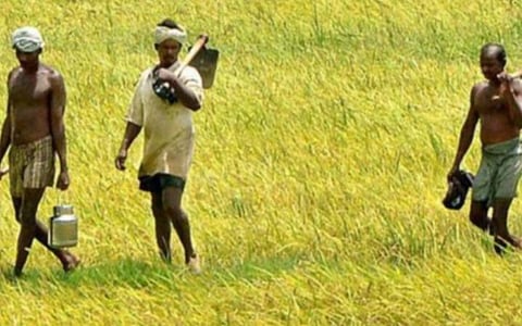 வேளாண் சட்டங்களை எதிர்த்து நெல்லையில் இடதுசாரி கட்சிகள் மறியல்: 48 பேர் கைது