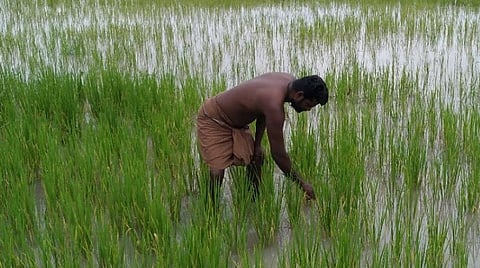 விடிய விடிய பெய்த மழை காரணமாக புதூர் அருகே அயன்வடமலாபுரம் கிராமத்தில் பயிரிடப்பட்டிருந்த நெற்பயிர்கள் நீரில் மூழ்கின.