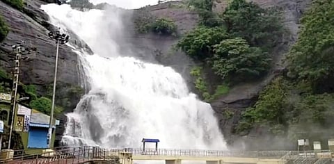 பாளை.  தெற்கு பஜாரில் மரம் சாய்ந்தது. படங்கள்: மு.லெட்சுமி அருண்