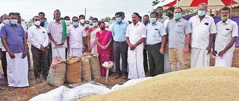 ஈரோடு மாவட்டம் கோபியை அடுத்த நன்செய் புளியம்பட்டி ஊராட்சியில் அரசு நெல் கொள்முதல் மையத்தை தொடங்கி வைத்த அமைச்சர் செங்கோட்டையன், நெல் கொள்முதல் பணிகளைப் பார்வையிட்டார்