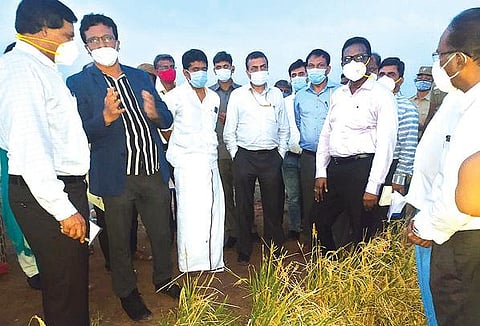 ‘நிவர்’ புயல் காரணமாக, வேலூர் மாவட்டத்தில் ஏற்பட்டுள்ள பாதிப்புகள் குறித்து தமிழக பொதுப்பணித்துறை முதன்மை செயலாளர் மணிவாசன் தலைமையிலான மத்திய குழுவினர் விவசாய நிலங்கள் உட்பட சேதமடைந்த பல இடங்களில் நேரில் சென்று ஆய்வு செய்தனர். அடுத்த படம்:  மத்திய குழுவினரிடம் சேதங்கள் குறித்து விளக்கிய திமுக பொதுச்செயலாளர் துரைமுருகன்.  கடைசிப் படம்: ஆற்காடு அடுத்த சக்கரமல்லூர் கிராமத்தில் ‘நிவர்’ புயலால் பாதிக்கப்பட்ட நெற் பயிர்களை மத்திய குழுவினர் நேற்று ஆய்வு செய்தனர். அருகில், மாவட்ட ஆட்சியர் கிளாட்ஸ்டன் புஷ்பராஜ் மற்றும் அதிகாரிகள்.