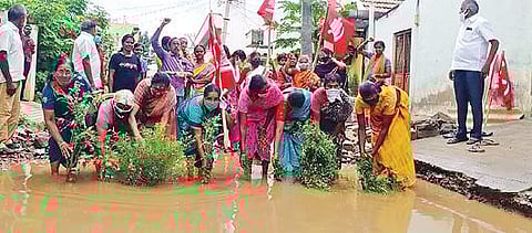 கல்லாங்காடு வாய்க்கால்மேடு குடியிருப்புப் பகுதியில் தேங்கியுள்ள மழை நீரில் நாற்று நடும் போராட்டத்தில் ஈடுபட்ட பொதுமக்கள், கட்சியினர்.