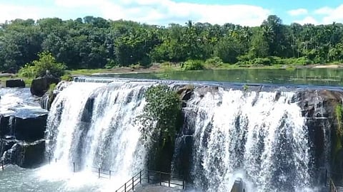 குமரியில் அனைத்து சுற்றுலா மையங்கள் திறந்த பின்பும் 9 மாதங்களாக திற்பரப்பு அருவியில் அனுமதி மறுப்பு: சுற்றுலாப் பயணிகள் ஏமாற்றம்