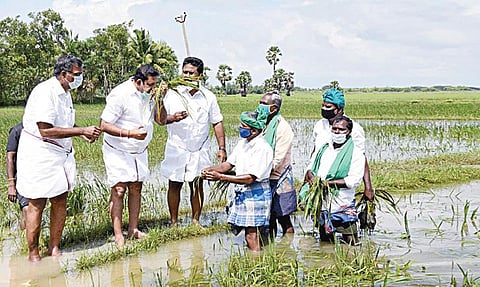 நாகப்பட்டினம் மாவட்டம் வேதாரண்யத்தை அடுத்த பழங்கள்ளிமேடில், முகாமில் தங்கவைக்கப்பட்டுள்ள மக்களுக்காக தயாரிக்கப்படும் உணவின் தரத்தினை ஆய்வு செய்தார் முதல்வர் பழனிசாமி. உடன் அமைச்சர்கள் எஸ்.பி.வேலுமணி, ஓ.எஸ்.மணியன், சி.விஜயபாஸ்கர் உள்ளிட்டோர். (அடுத்தபடம்) திருவாரூர் மாவட்டம் திருத்துறைப்பூண்டியை அடுத்த கொக்கலாடியில் விளைநிலத்தில் பயிர் சேதத்தை முதல்வர் பழனிசாமி ஆய்வு செய்தார். உடன் அமைச்சர்கள் கே.பி.அன்பழகன், ஆர்.காமராஜ்.