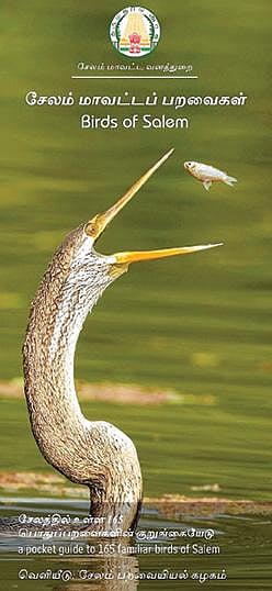 சேலம் பறவைகளுக்குத் தனி குறுங்கையேடு