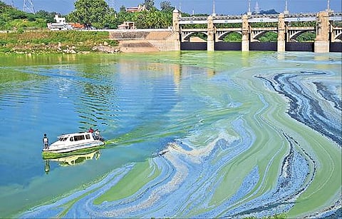மேட்டூர் அணை 16 கண் மதகு பகுதியில் படர்ந்துள்ள பாசிப்படலத்தை பொதுப் பணித்துறை ஊழியர்கள் மோட்டார் படகில் சென்று நுண்ணுயிர் கரைசலை தெளித்து கட்டுப்படுத்தும் பணியில் ஈடுபட்டுள்ளனர்.