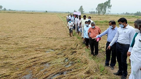 பாதிக்கப்பட்ட விவசாய நிலங்களில் ஆய்வு.