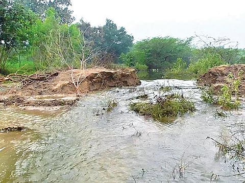 குடியாத்தம் அடுத்த தட்டாங்குட்டை ஏரியின் கரை உடைக்கப்பட்டுள்ளதால், அதிலிருந்து வெளியேறும் தண்ணீர்.