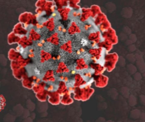 பிரதிநிதித்துவப் படம்