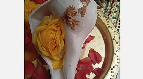 உங்கள் வீட்டில் வலம்புரிச் சங்கு; வாசம் செய்கிறாள்  மகாலக்ஷ்மி! குபேர யோகம் தரும் வலம்புரிச்சங்கு! 