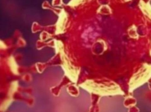 பிரதிநிதித்துவப் படம்