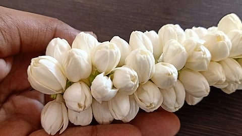 வரத்து குறைவால் சாதாரண நாளிலும் விலை உயர்ந்த மல்லிகைப்பூ: கிலோ ரூ.2 ஆயிரத்திற்கு விற்பனை