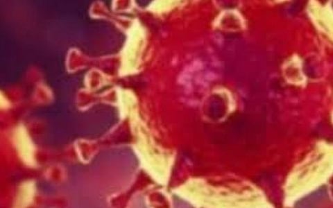 161 நாட்களுக்குப் பிறகு இந்தியாவில் கரோனா பாதிப்பு 3.03 லட்சமாகக் குறைவு