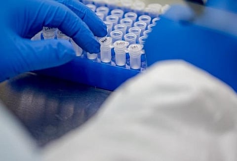 துபாயில் கரோனா தடுப்பூசி இலவசம்