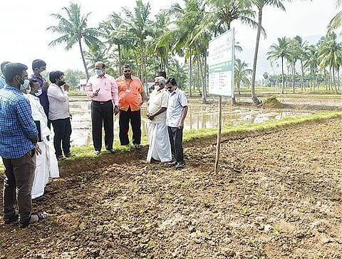 வேலூர் அடுத்த கணியம்பாடி பகுதியில் வேளாண் திட்டத்தை பார்வையிட்டு ஆய்வு செய்த மாவட்ட ஆட்சியர் சண்முகசுந்தரம். படம்:வி.எம்.மணிநாதன்.