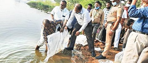 கந்திலி அடுத்த புலிக்குட்டை ஏரியில் மீன் குஞ்சுகளை விட்ட ஆட்சியர் சிவன் அருள்.